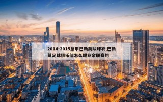 2014-2015意甲巴勒莫队球衣,巴勒莫足球俱乐部怎么踢业余联赛的