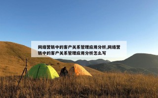 网络营销中的客户关系管理应用分析,网络营销中的客户关系管理应用分析怎么写