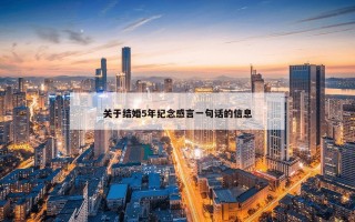 关于结婚5年纪念感言一句话的信息