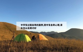 中学生过度自卑的案例,初中生自卑心理,家长怎么处理才好