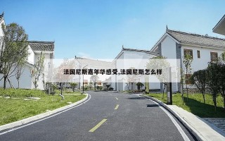 法国尼斯嘉年华感受,法国尼斯怎么样