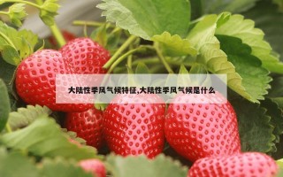 大陆性季风气候特征,大陆性季风气候是什么