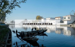 2026欧洲杯各洲分配,欧洲杯各国