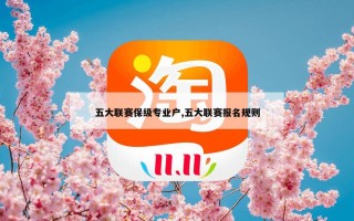 五大联赛保级专业户,五大联赛报名规则