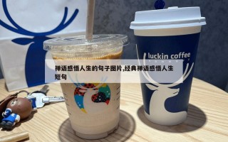 禅语感悟人生的句子图片,经典禅语感悟人生短句