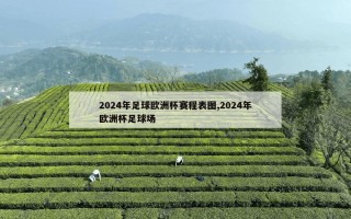 2024年足球欧洲杯赛程表图,2024年欧洲杯足球场