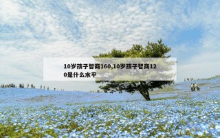 10岁孩子智商160,10岁孩子智商120是什么水平