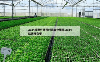 2024欧洲杯赛程时间表分组图,2024欧洲杯在哪