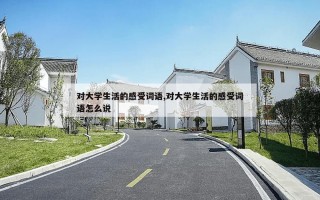 对大学生活的感受词语,对大学生活的感受词语怎么说