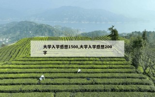 大学入学感想1500,大学入学感想200字