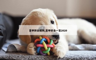 意甲转会规则,意甲转会一览2020