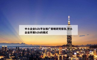 中小企业b2b平台推广策略研究报告,中小企业开展b2b的模式