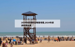 2024年欧洲杯在哪里观看,2024年欧洲杯预选赛