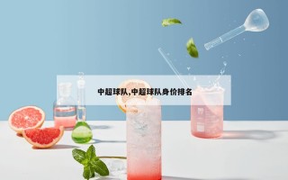 中超球队,中超球队身价排名