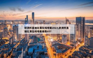 欧洲杯直播比赛在线观看2023,欧洲杯直播比赛在线观看雨燕857