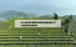 2024欧洲杯赛程时间表及结果表格,2024欧洲杯百度百科