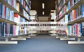 小学新学期的感想,小学新学期感想作文300字