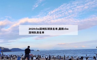 2020cba深圳队球员名单,最新cba深圳队员名单