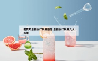 姜岚昕总裁执行风暴感想,总裁执行风暴九大步骤