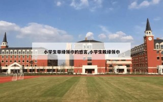 小学生带绿领巾的感言,小学生戴绿领巾