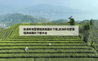 欧洲杯完整赛程表格图片下载,欧洲杯完整赛程表格图片下载大全