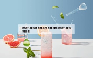 欧洲杯预选赛直播小罗直播回放,欧洲杯预选赛回看