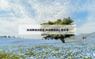 内训师培训感言,内训师培训心得分享