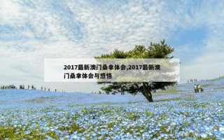 2017最新澳门桑拿体会,2017最新澳门桑拿体会与感悟