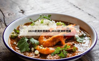 2821欧洲杯德国队,2022欧洲杯德国