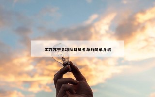 江苏苏宁足球队球员名单的简单介绍