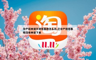 分户后申请不到宅基地怎么办,已分户但宅基地没有申请下来