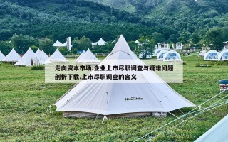 走向资本市场:企业上市尽职调查与疑难问题剖析下载,上市尽职调查的含义