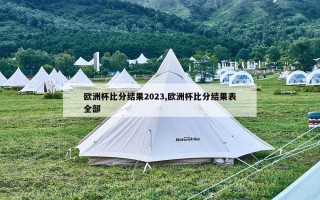 欧洲杯比分结果2023,欧洲杯比分结果表全部