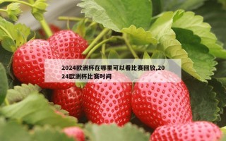 2024欧洲杯在哪里可以看比赛回放,2024欧洲杯比赛时间