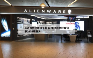 生活感悟经典句子2017,生活感悟经典句子2024版图文