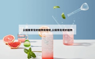 公园里常见的植物有哪些,公园常出现的植物