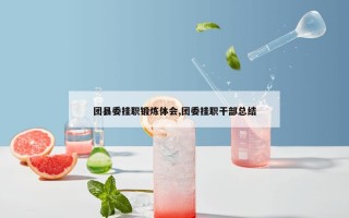 团县委挂职锻炼体会,团委挂职干部总结