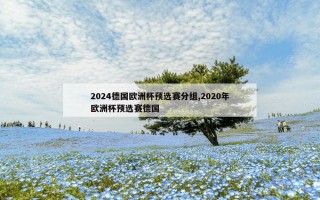 2024德国欧洲杯预选赛分组,2020年欧洲杯预选赛德国