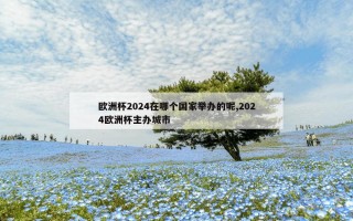 欧洲杯2024在哪个国家举办的呢,2024欧洲杯主办城市