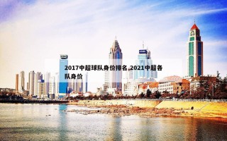 2017中超球队身价排名,2021中超各队身价