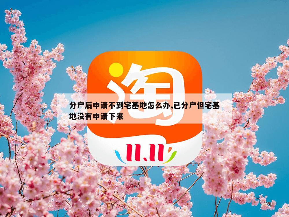 分户后申请不到宅基地怎么办,已分户但宅基地没有申请下来-第1张图片-333体育