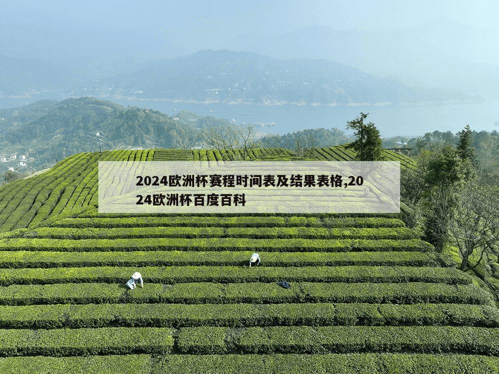 2024欧洲杯赛程时间表及结果表格,2024欧洲杯百度百科-第1张图片-333体育