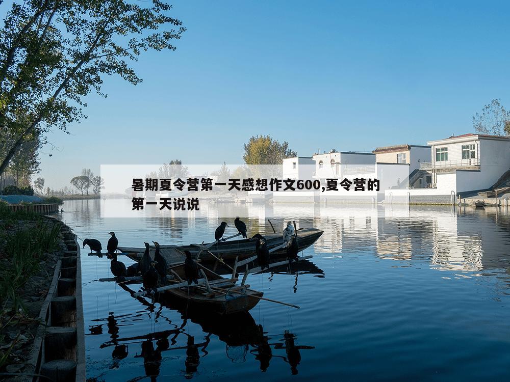 暑期夏令营第一天感想作文600,夏令营的第一天说说-第1张图片-333体育