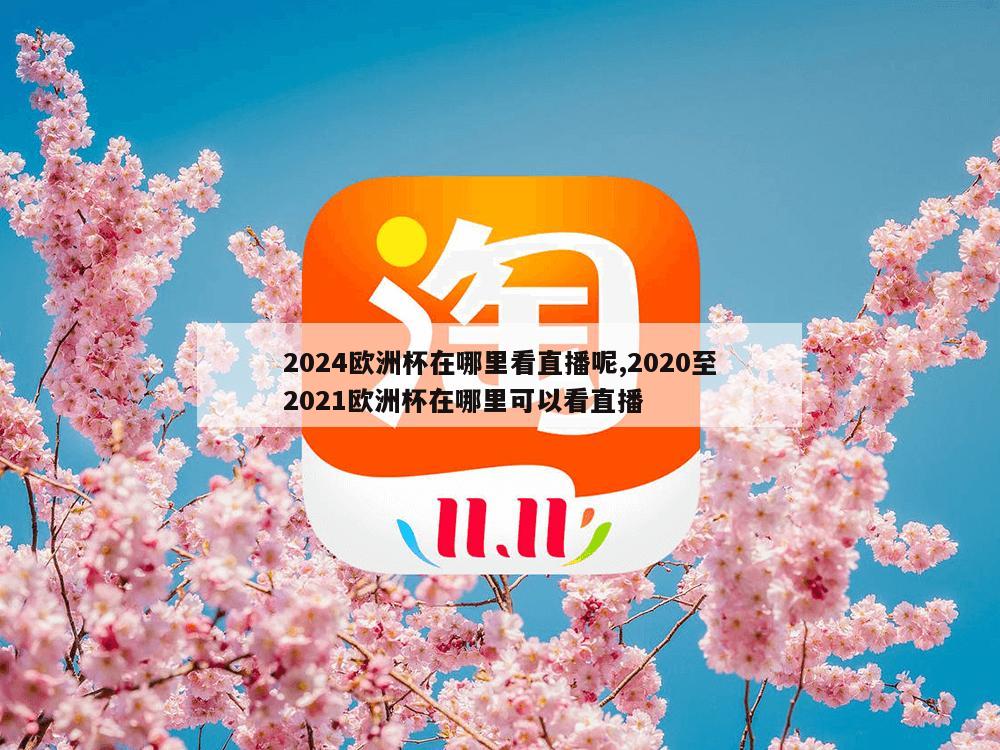 2024欧洲杯在哪里看直播呢,2020至2021欧洲杯在哪里可以看直播-第1张图片-333体育