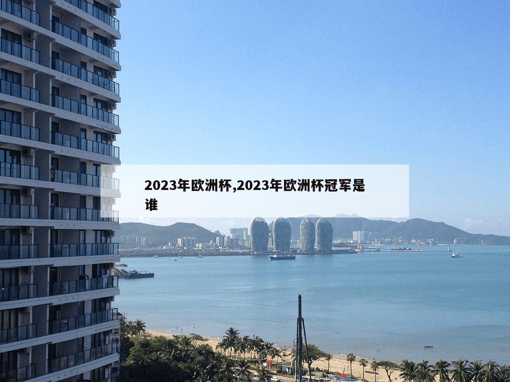 2023年欧洲杯,2023年欧洲杯冠军是谁-第1张图片-333体育