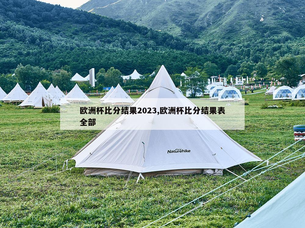 欧洲杯比分结果2023,欧洲杯比分结果表全部-第1张图片-333体育