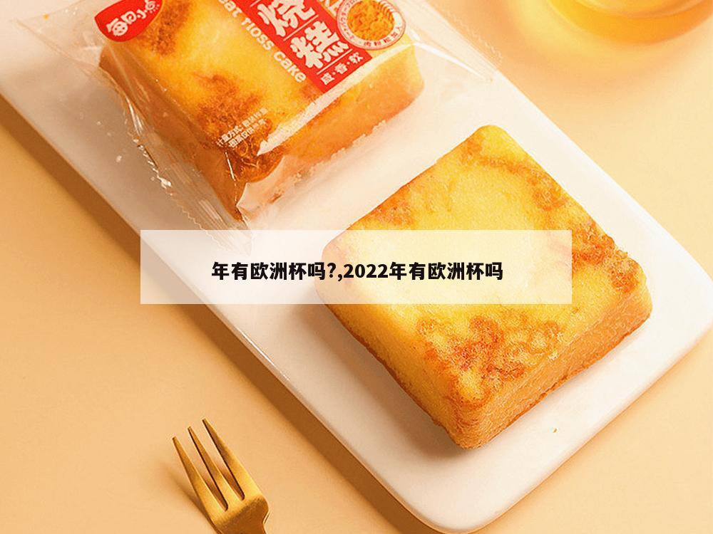 年有欧洲杯吗?,2022年有欧洲杯吗-第1张图片-333体育