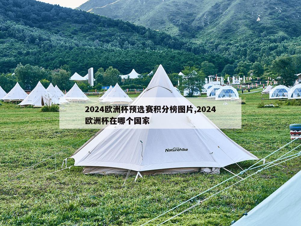 2024欧洲杯预选赛积分榜图片,2024欧洲杯在哪个国家-第1张图片-333体育