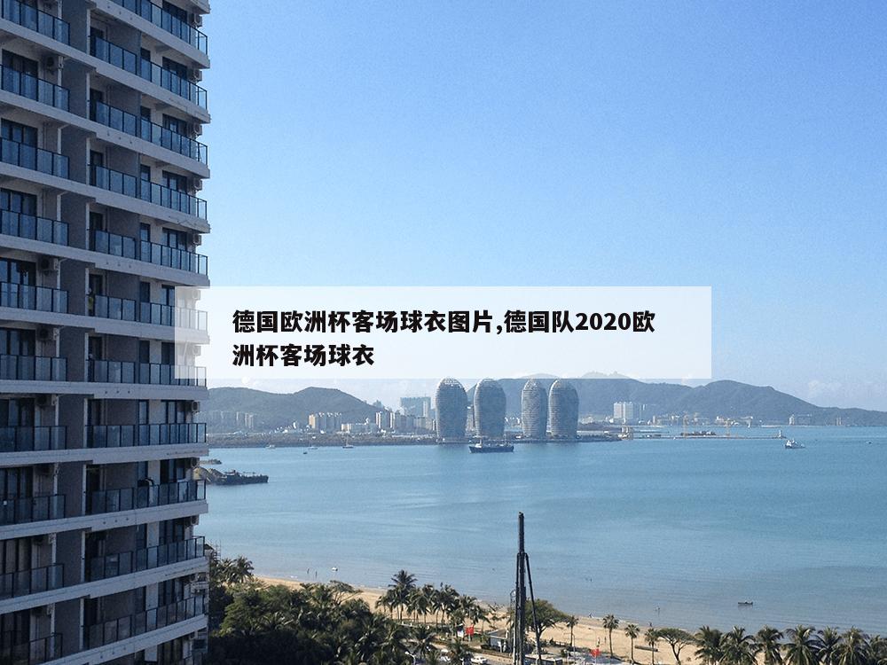 德国欧洲杯客场球衣图片,德国队2020欧洲杯客场球衣-第1张图片-333体育