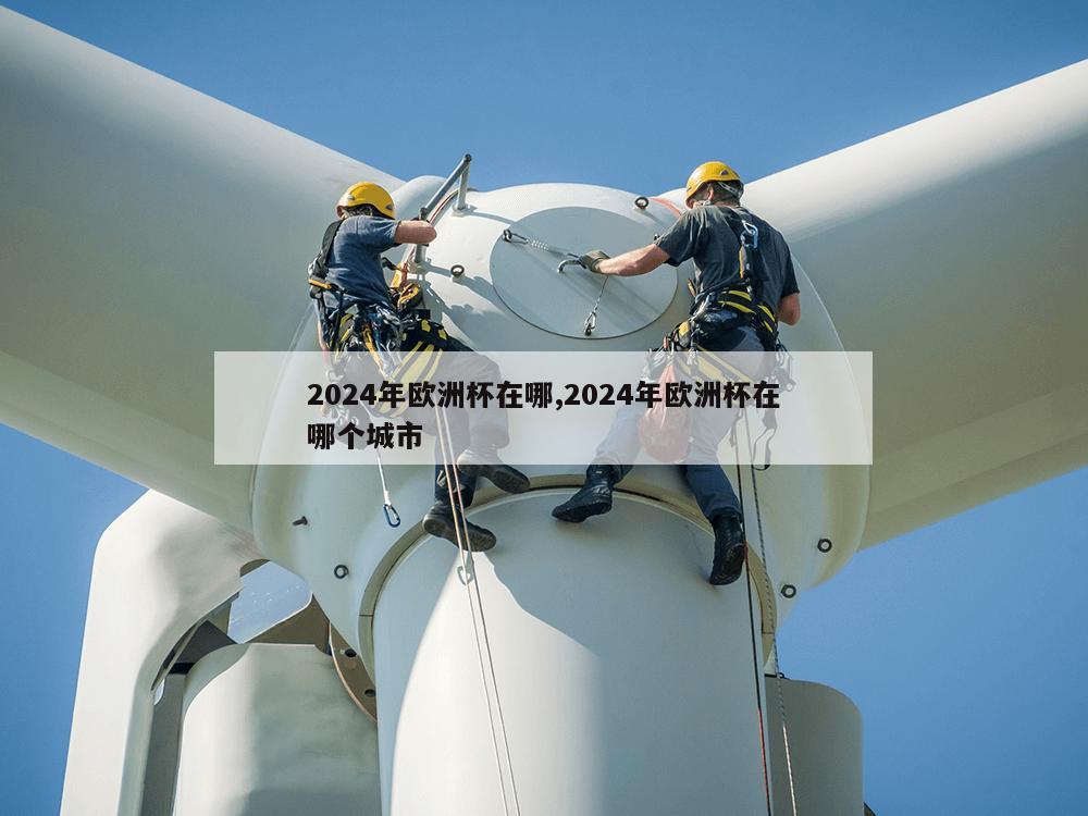 2024年欧洲杯在哪,2024年欧洲杯在哪个城市-第1张图片-333体育